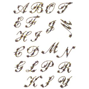 Letras e Números